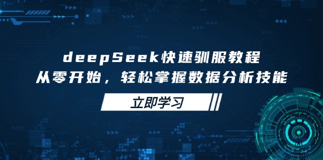 deepSeek快速驯服教程，从零开始，轻松掌握数据分析技能-搜外项目网