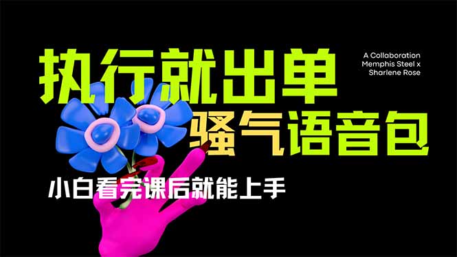 爆火全网的开车导航骚气语音包,只要执行就出单，小白看完课程就能实操...-搜外项目网