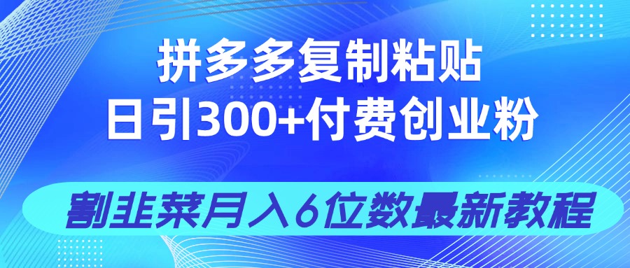 拼多多复制粘贴日引300+付费创业粉，割韭菜月入6位数最新教程！-搜外项目网