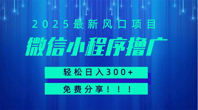 微信小程序撸广，最新风口项目，日入300+ 免费分享 可批量操作 小白可...-搜外项目网