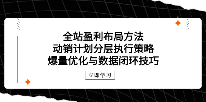 全站盈利布局方法：动销计划分层执行策略，爆量优化与数据闭环技巧-搜外项目网