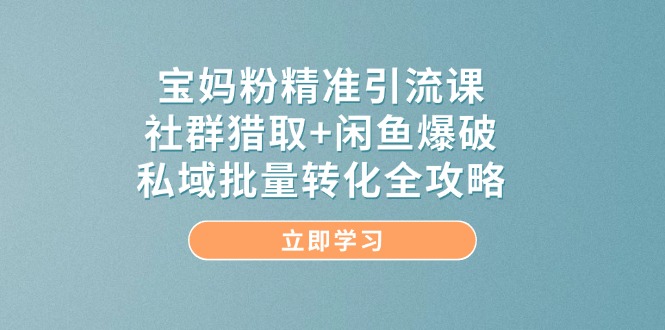 宝妈粉精准引流课,社群猎取+闲鱼爆破,私域批量转化全攻略-搜外项目网