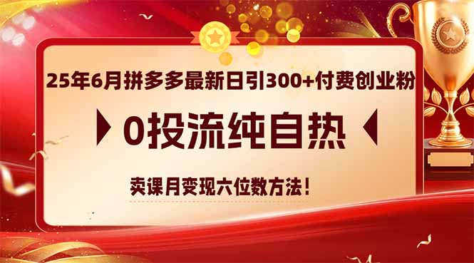 25年6月拼多多最新日引300+付费创业粉,0投流纯自热 卖课月变现六位数方法-搜外项目网