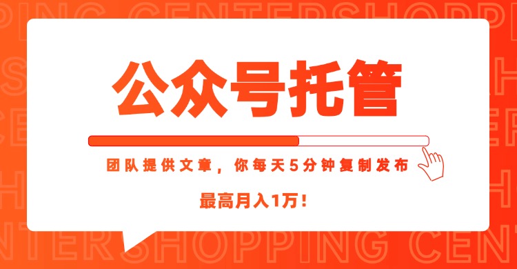 【公众号托管 】我提供文章,你每天5分钟复制发布,最高月入1W-搜外项目网
