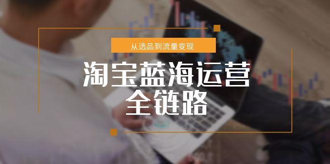 淘宝蓝海运营全链路,从选品到流量变现,小类目突围完整方案-搜外项目网