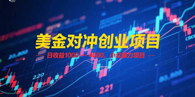 美金对冲创业项目，日收益 1000 – 4000，小众暴力项目-搜外项目网