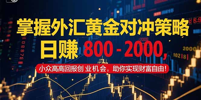 掌握外汇黄金对冲策略，日赚 800 – 2000，小众高回报创业机会，助你实...-搜外项目网